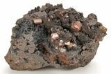 Small, Red Vanadinite Crystals on Manganese Oxide - Morocco #212016-1